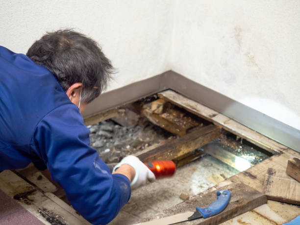 Best Mold Testing  in Elk City, OK