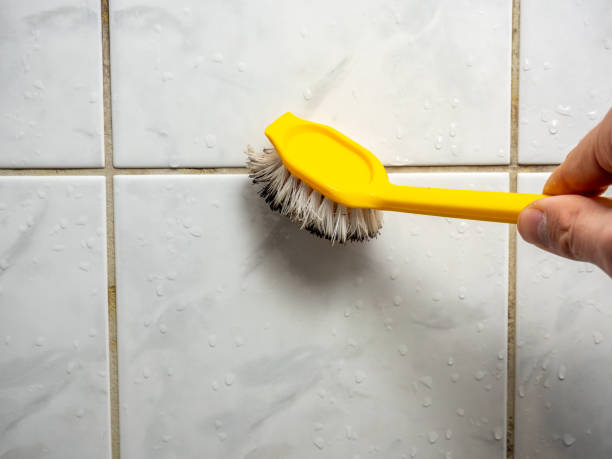 Mold Removal and Inspection in Elk City, OK